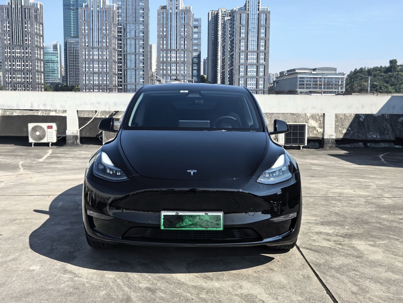 Tesla Model Y 2021 car image #2