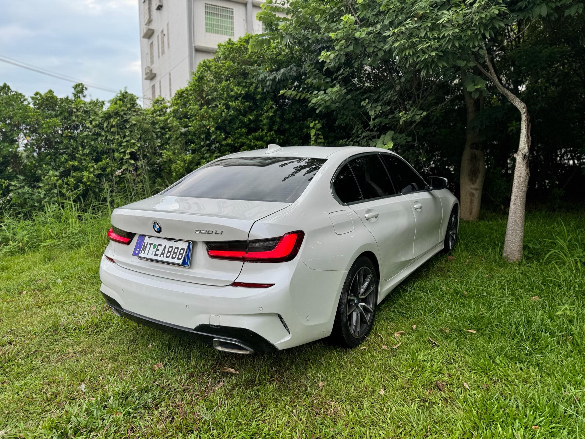 BMW 3 Series 2020 car image #5