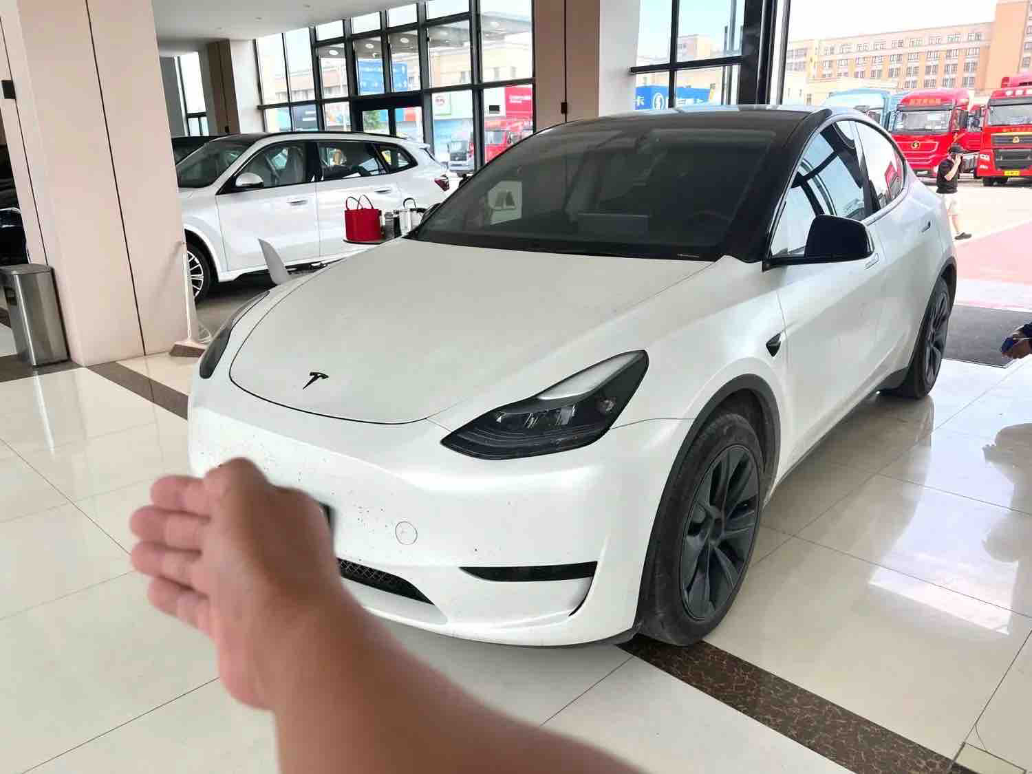 Tesla Model Y 2024 Tesla Model Y 2024 car image