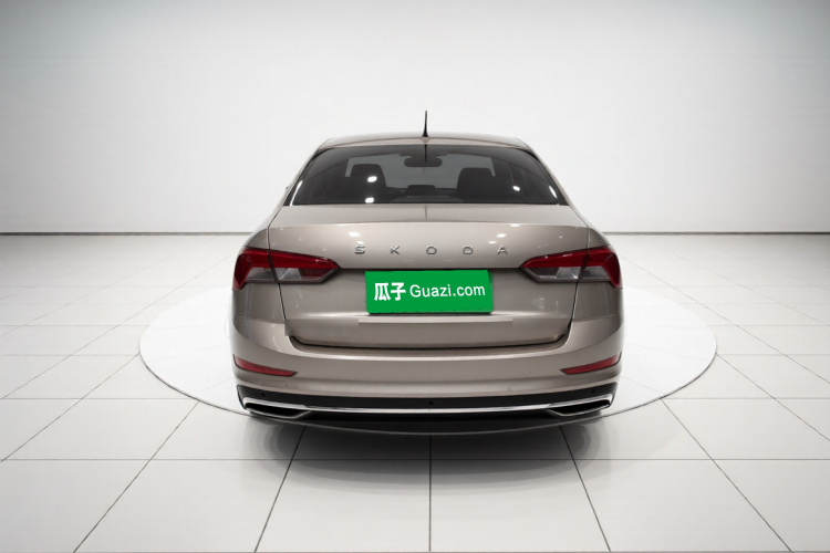 Skoda Rapid 2020 image de voiture #6