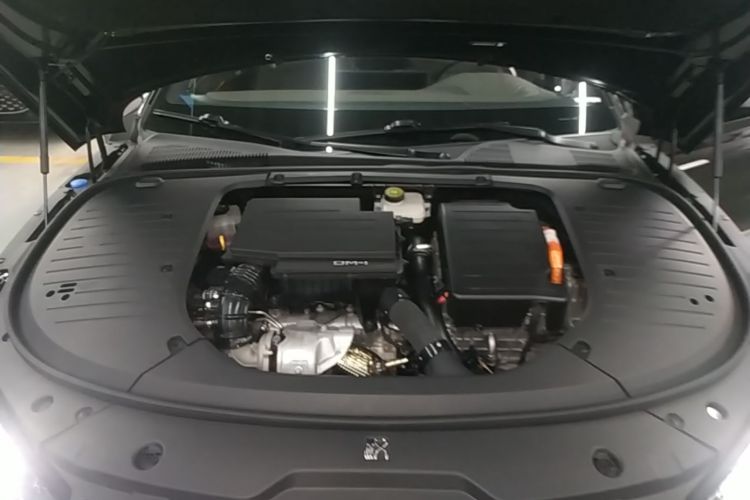 BYD Han 2024 car image #20
