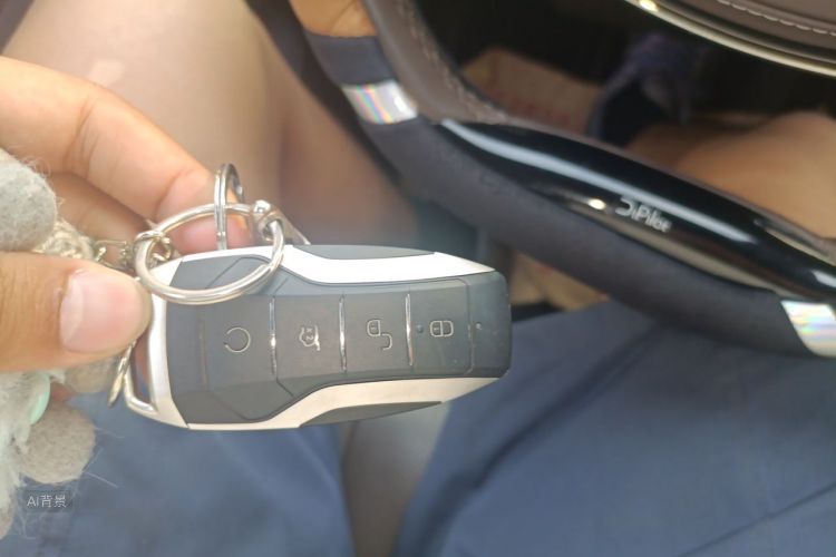 BYD Han 2021 car image #10