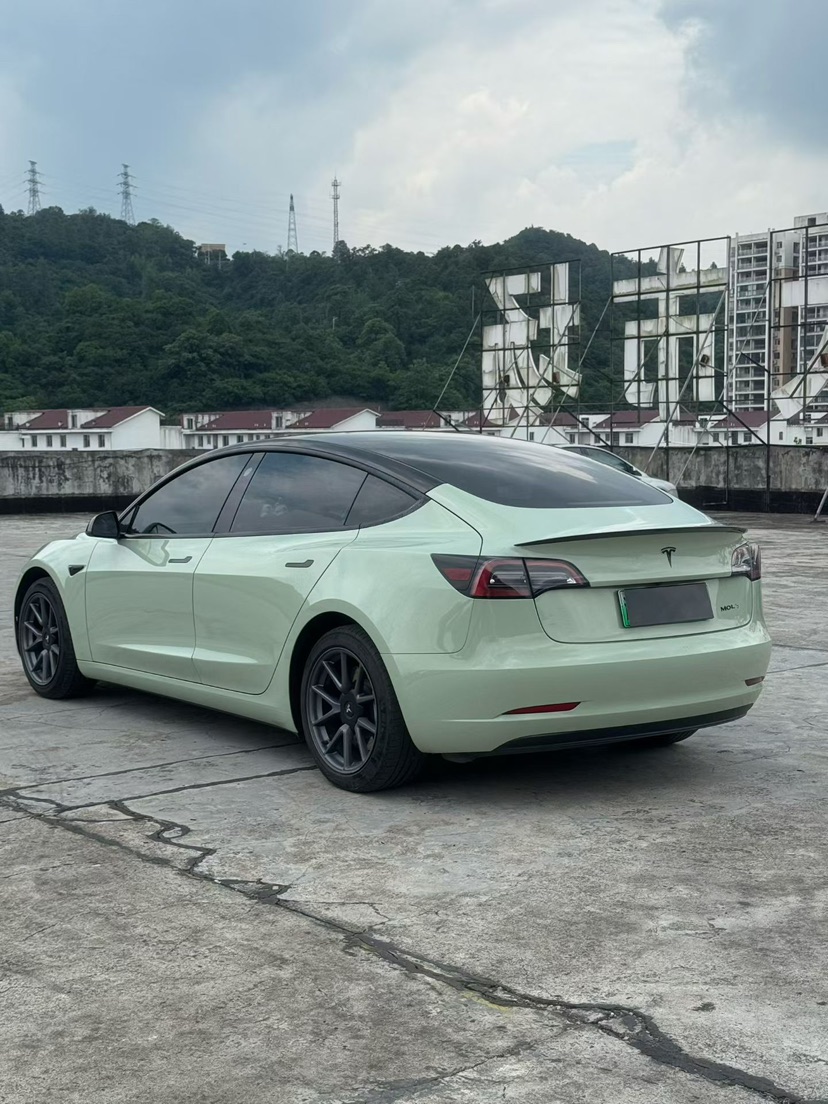 Tesla Model 3 2023 #6 Tesla Model 3 2023 car image #6