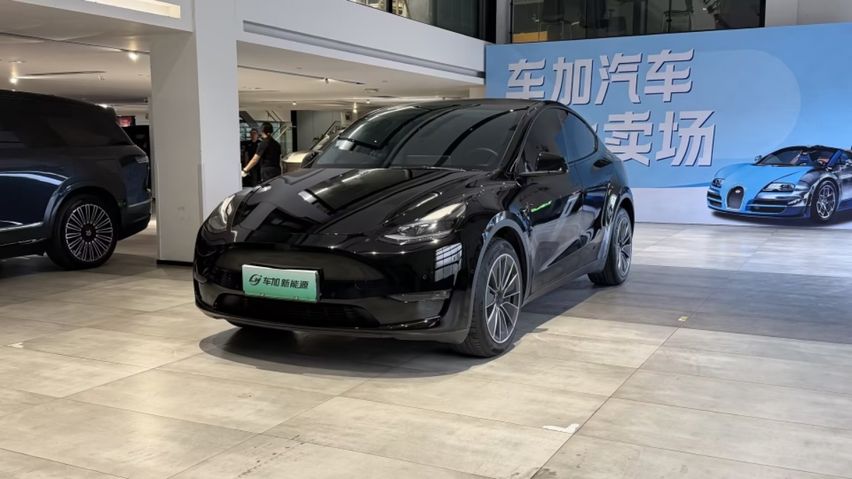 Tesla Model Y 2023 Tesla Model Y 2023 car image