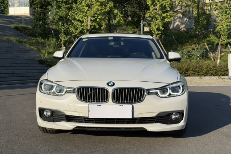 BMW 3 Series 2018 car image #6