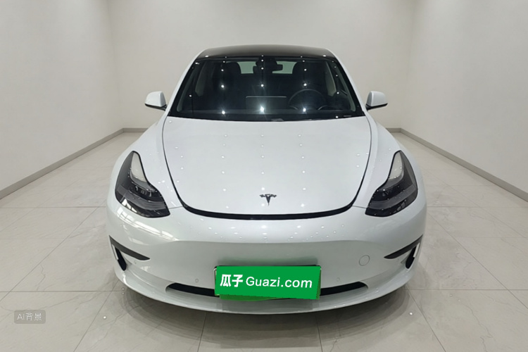 Tesla Model 3 2021 #3 Tesla Model 3 2021 car image #3