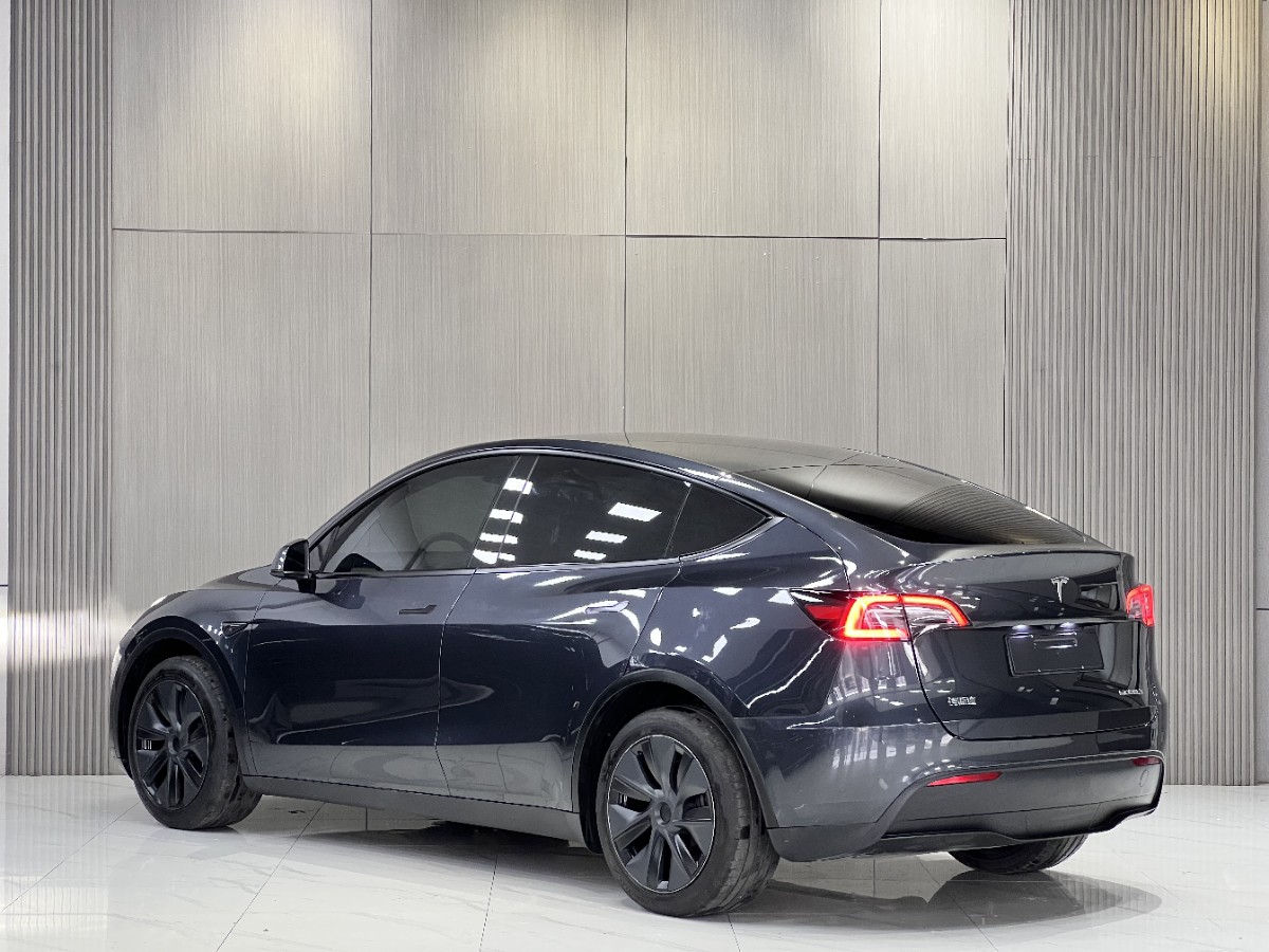 Tesla Model Y 2025 #10 Tesla Model Y 2025 car image #10