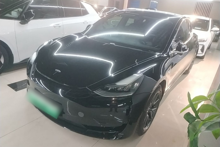 Tesla Model 3 2020 car image #2