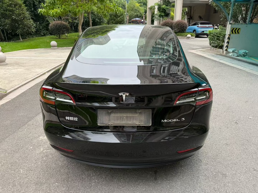 Tesla Model 3 2020 car image #5