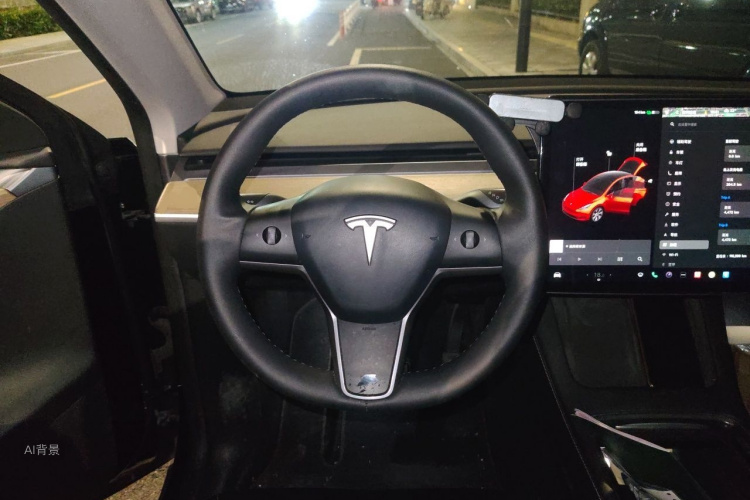 Tesla Model Y 2021 car image #12
