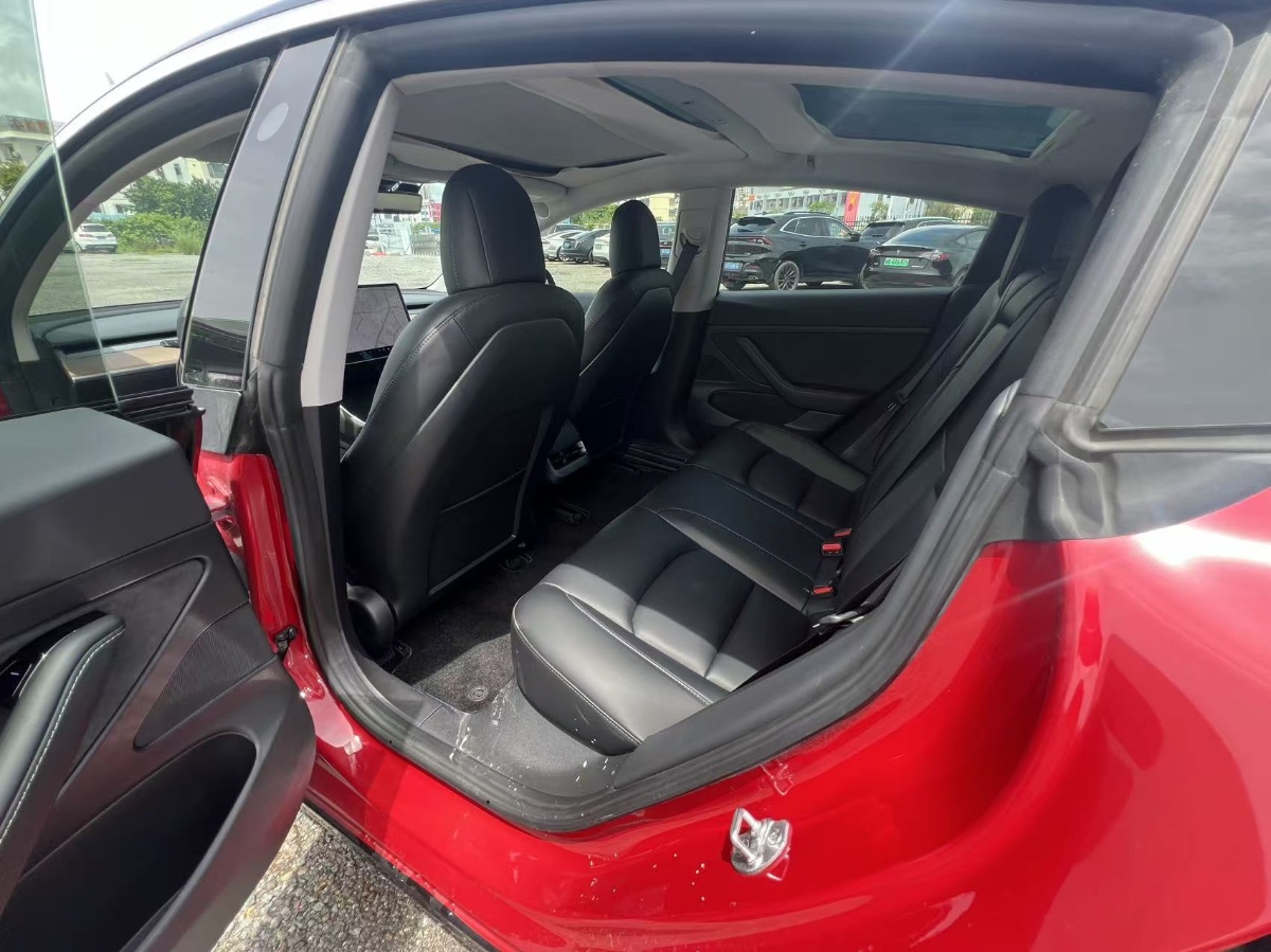 Tesla Model 3 2020 #8 Tesla Model 3 2020 car image #8