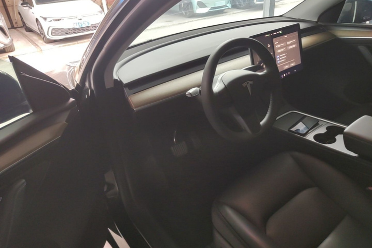 Tesla Model Y 2023 car image #16