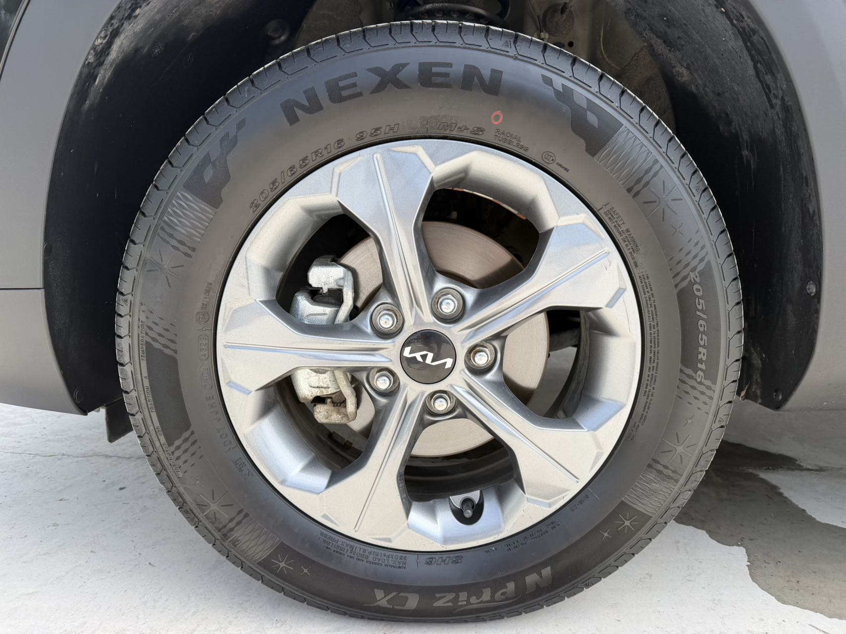 Kia Seltos 2023 car image #8