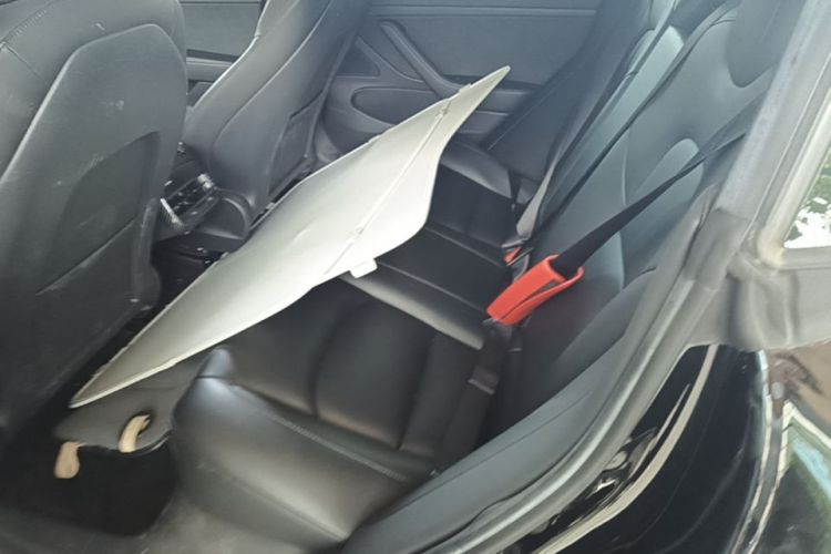 Tesla Model 3 2020 #17 Tesla Model 3 2020 car image #17