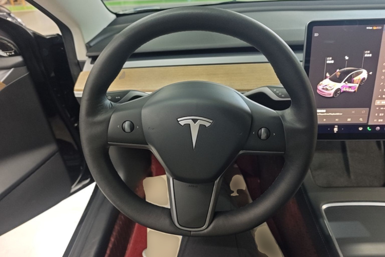 Tesla Model 3 2021 #15 Tesla Model 3 2021 car image #15