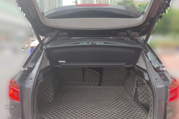 BMW X1 2017 car image #21