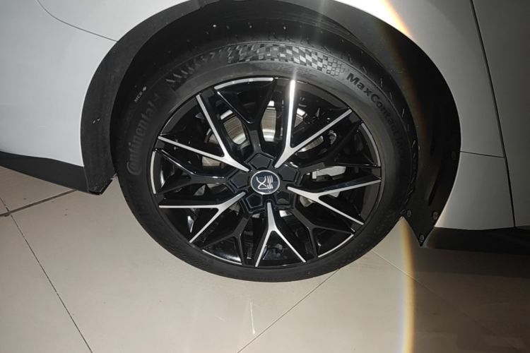 BYD Han 2024 car image #10