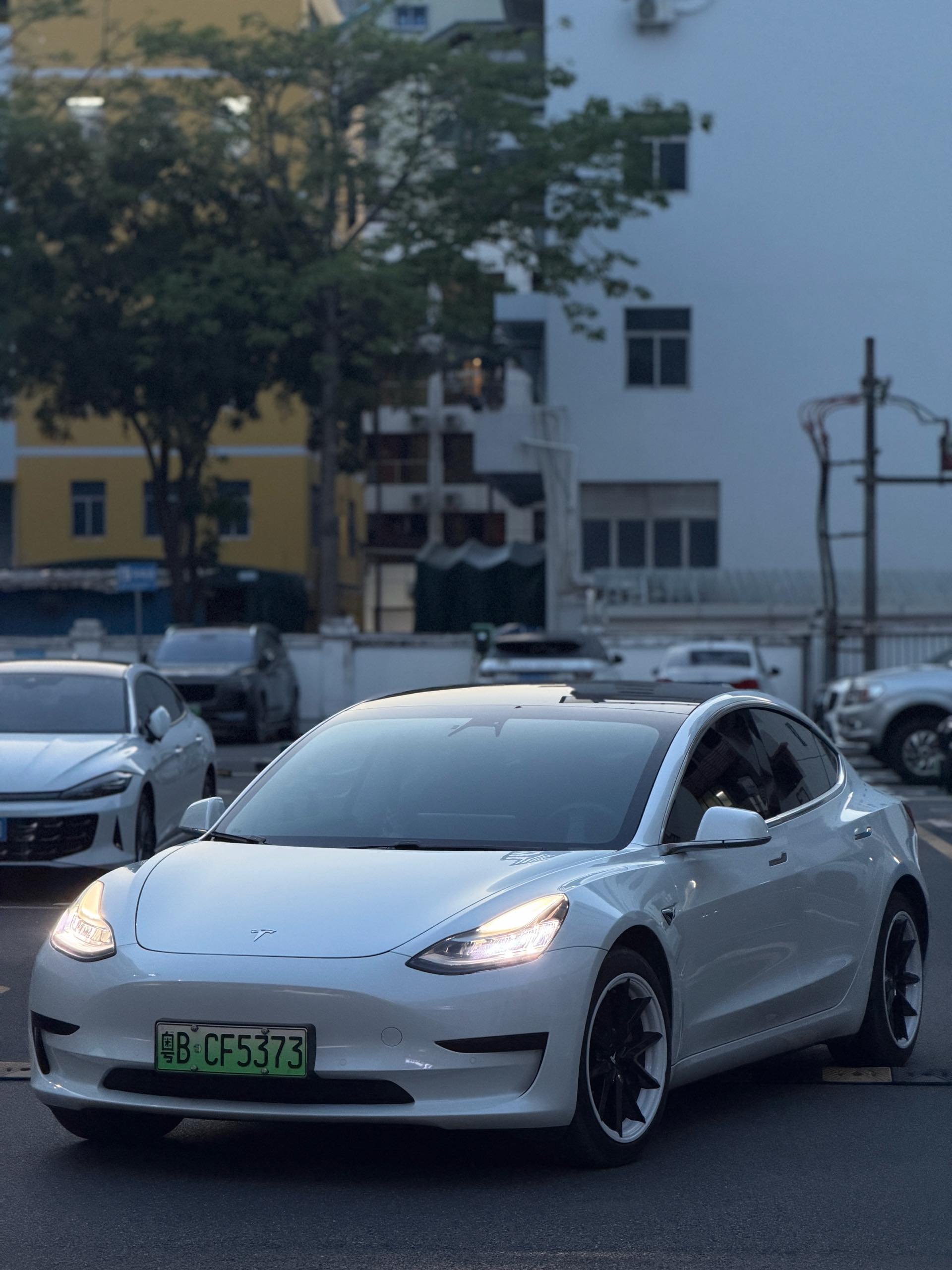 Tesla Model 3 2020 car image 