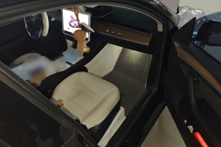 Tesla Model Y 2023 #24 Tesla Model Y 2023 car image #24