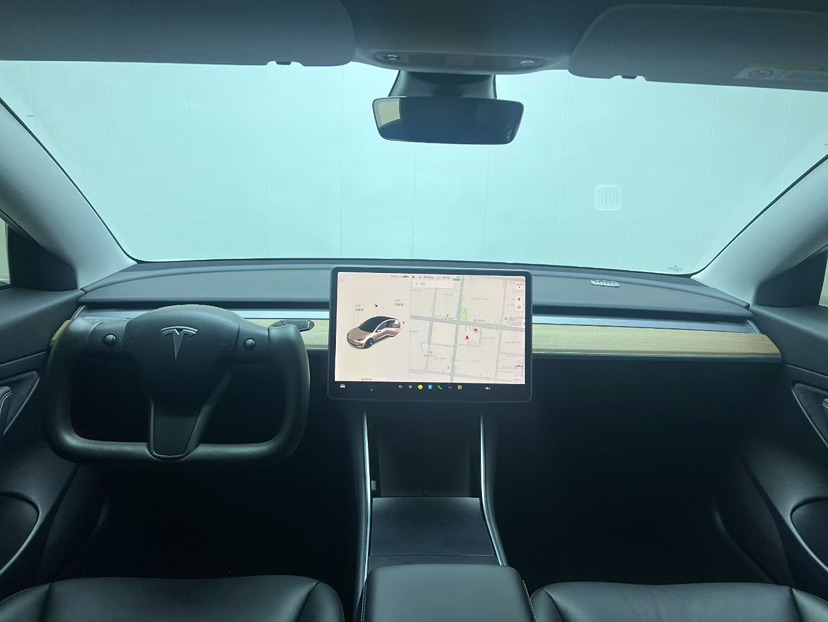 Tesla Model 3 2020 car image #9