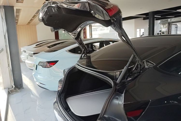 Tesla Model 3 2024 #19 Tesla Model 3 2024 car image #19