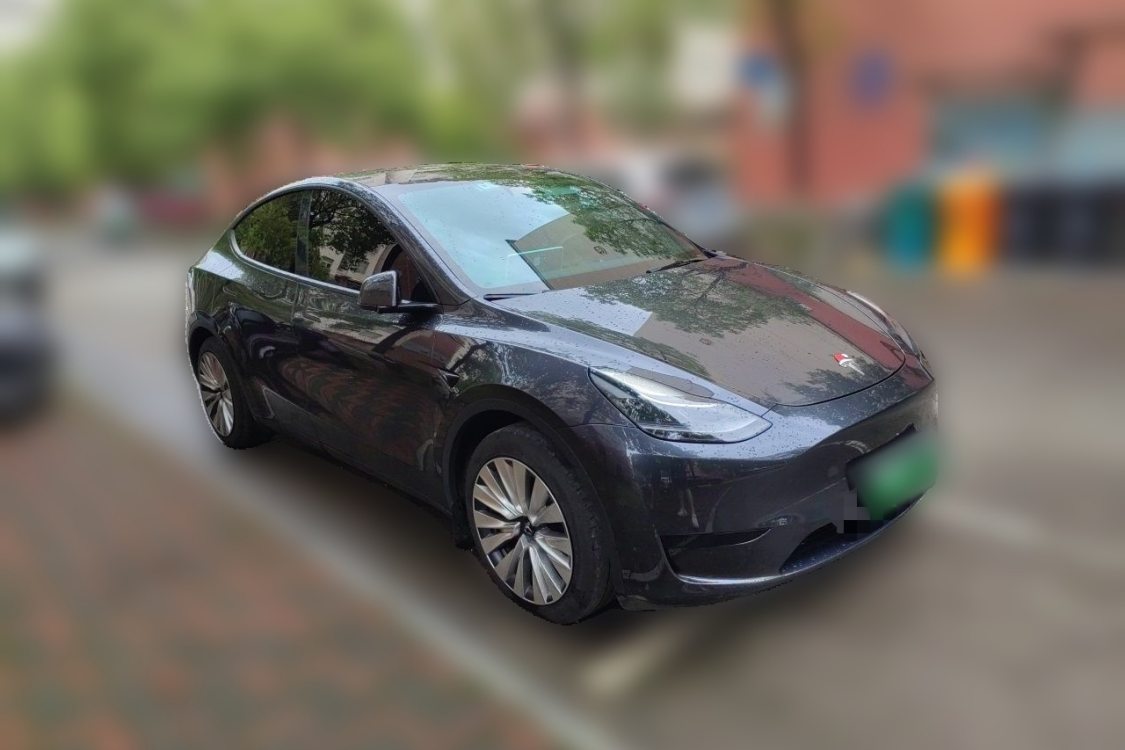 Tesla Model Y 2024 car image #2