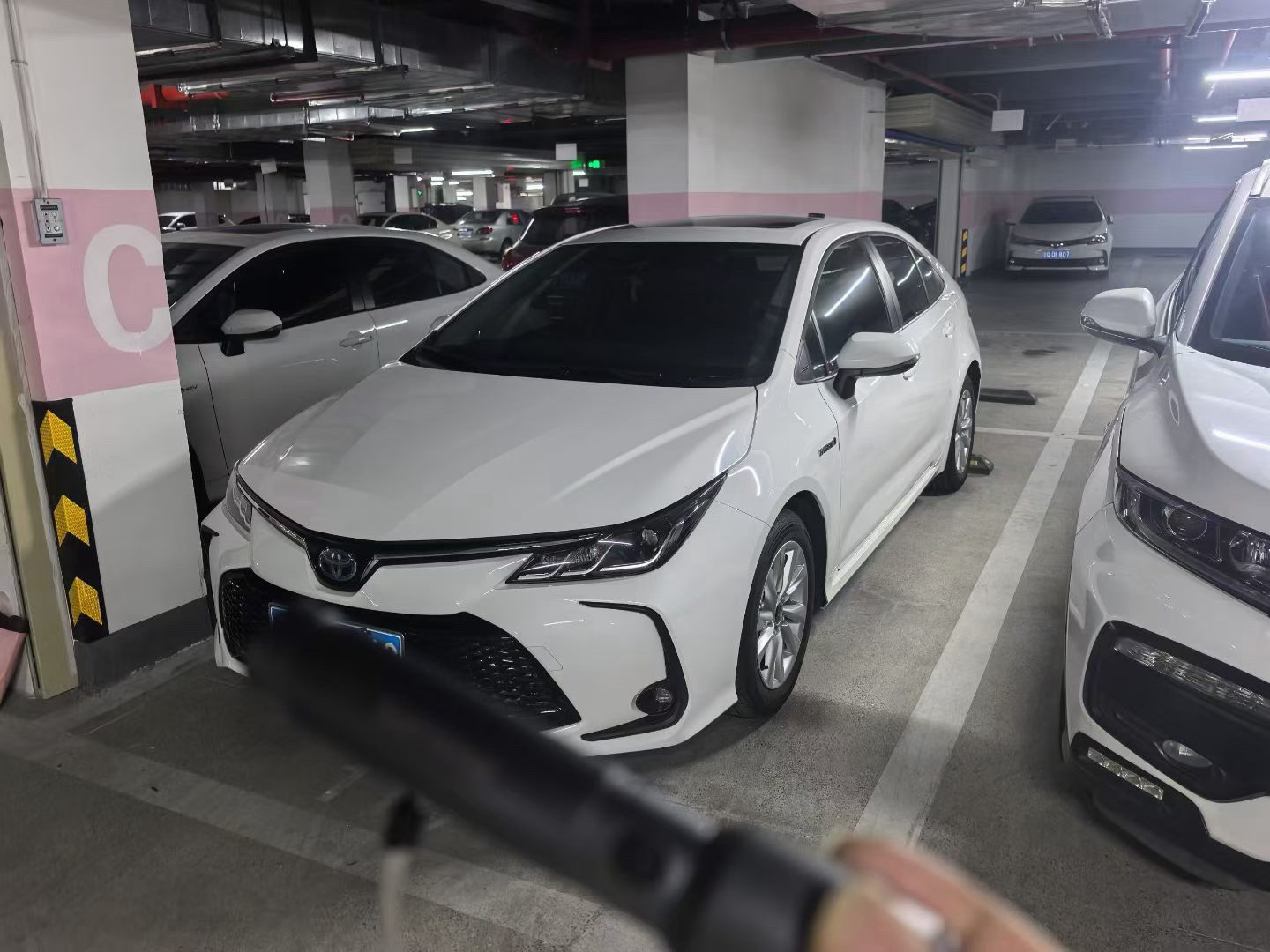Toyota Corolla 2023 Toyota Corolla 2023 car image