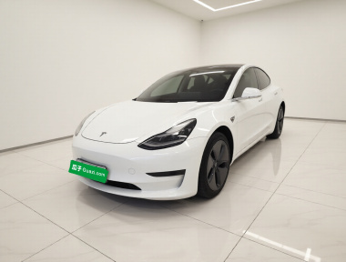 Tesla Model 3 2020 Tesla Model 3 2020 car image