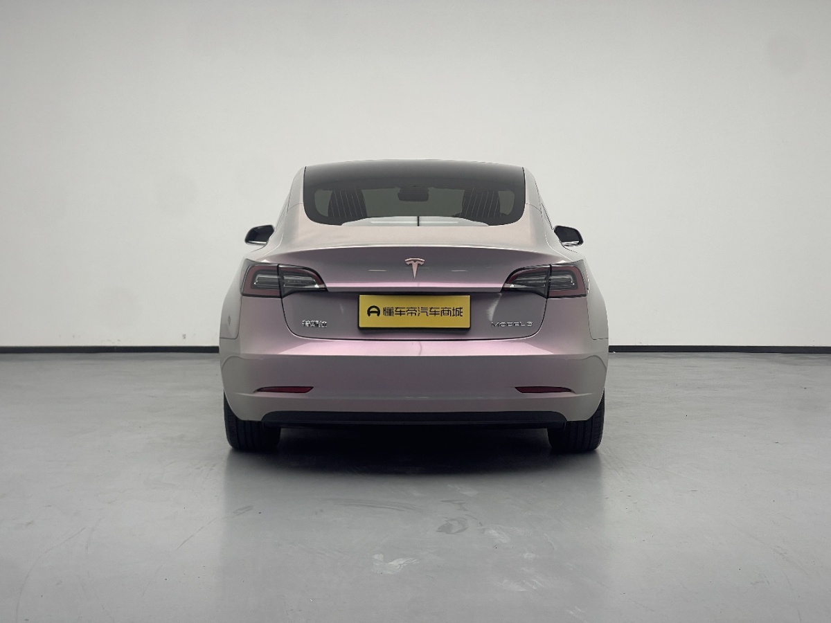 Tesla Model 3 2020 immagine di auto #8