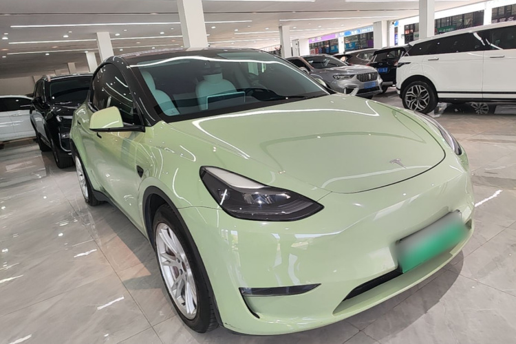 Tesla Model Y 2021 car image #4