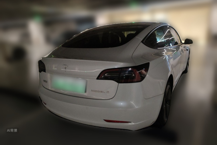 Tesla Model 3 2023 car image #7