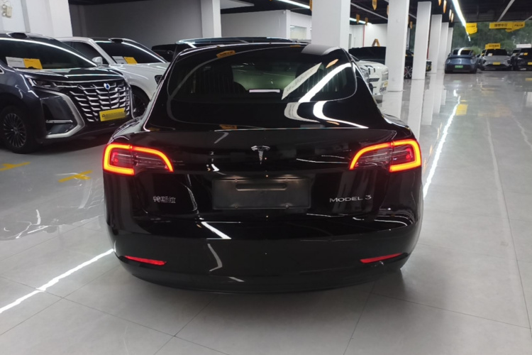 Tesla Model 3 2020 car image #4