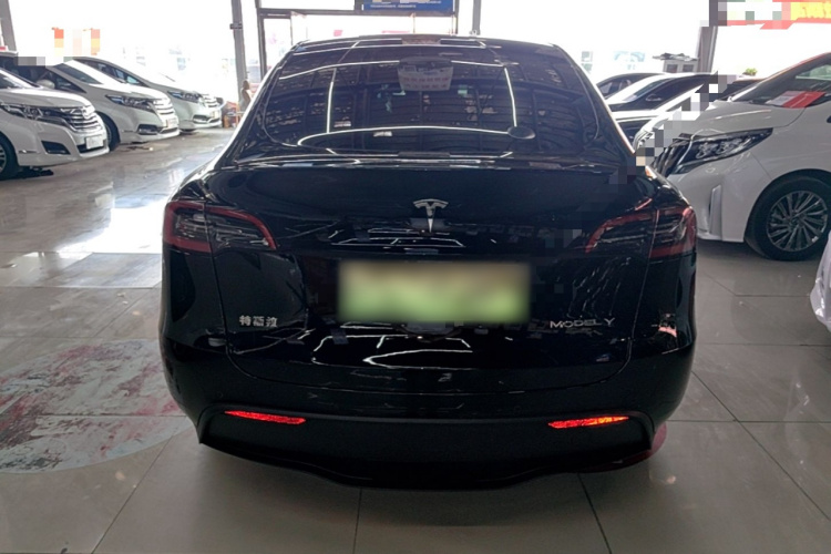 Tesla Model Y 2022 car image #6