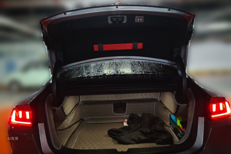 BYD Han 2022 car image #21