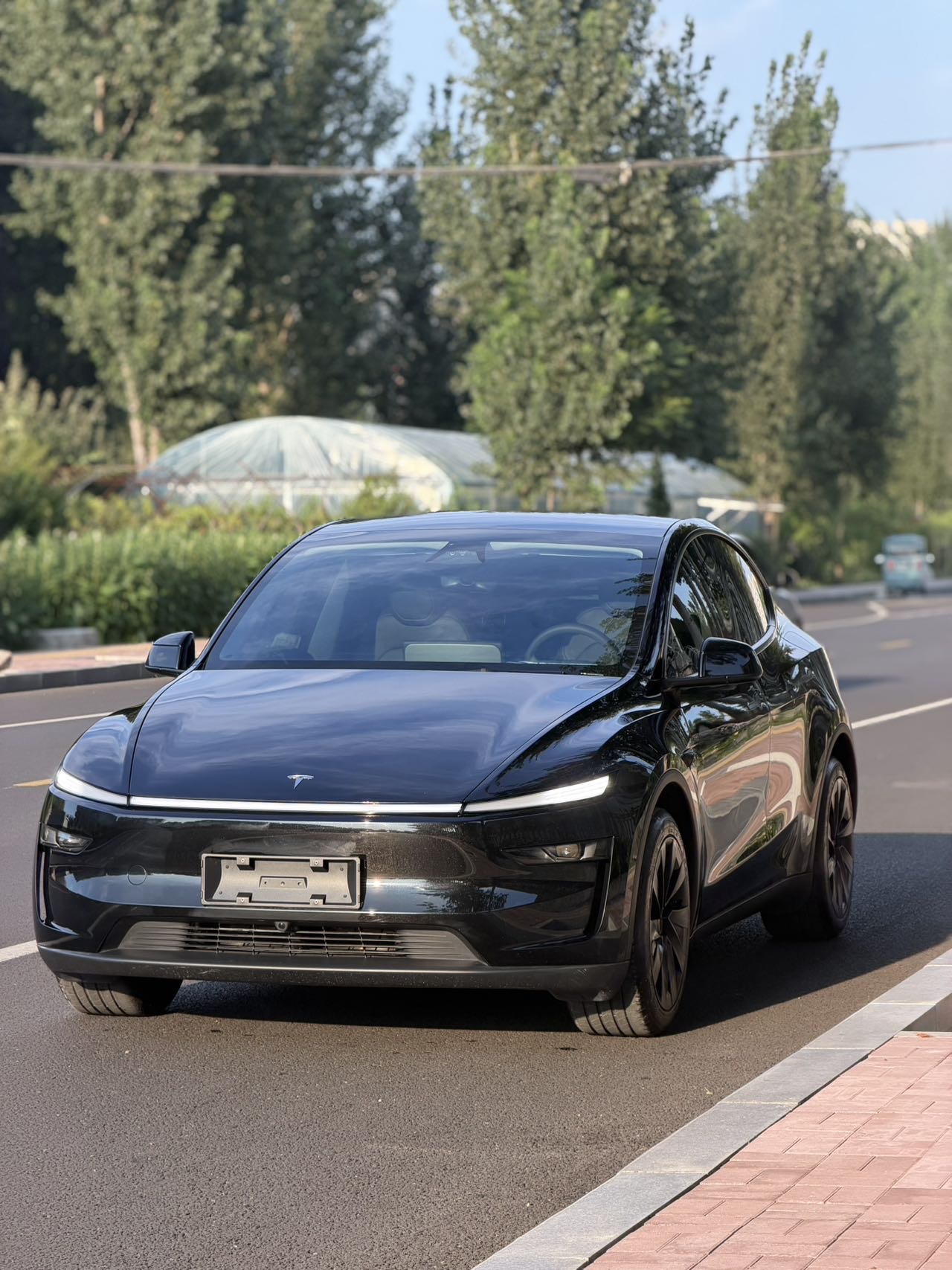 Tesla Model Y 2025 Tesla Model Y 2025 car image