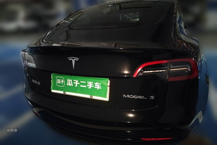 Tesla Model 3 2021 #6 Tesla Model 3 2021 car image #6