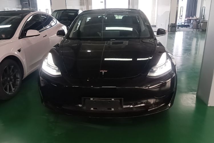Tesla Model 3 2020 #3 Tesla Model 3 2020 car image #3