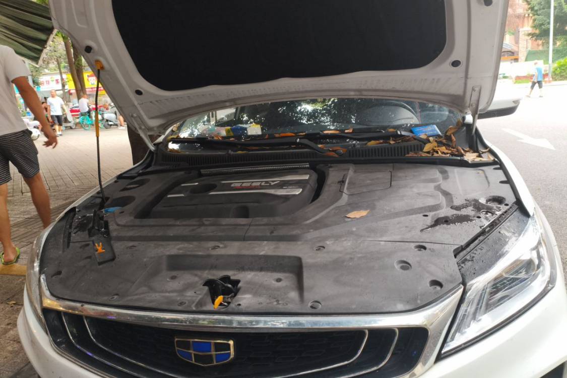 GEELY Binray 2018 #10 GEELY Binray 2018 صورة سيارة #10