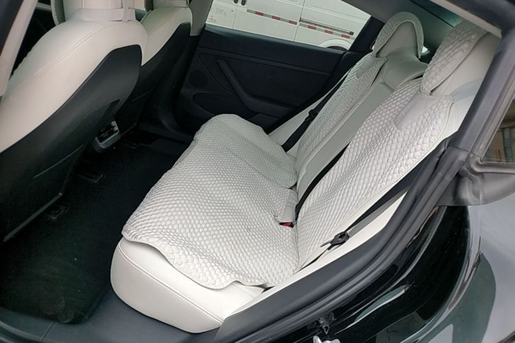 Tesla Model 3 2022 car image #17