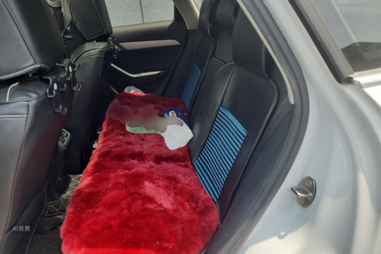 Audi Q3 2019 car image #19