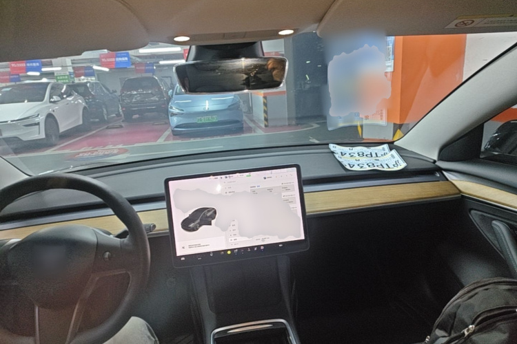 Tesla Model 3 2021 car image #10