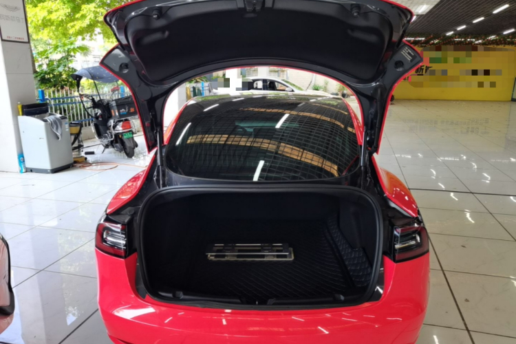 Tesla Model 3 2020 car image #19