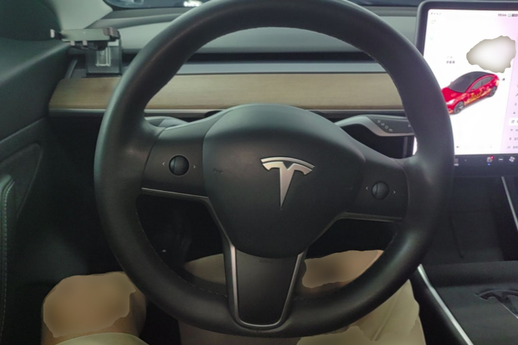 Tesla Model 3 2020 car image #11