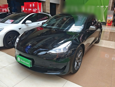 Tesla Model 3 2022 Tesla Model 3 2022 car image