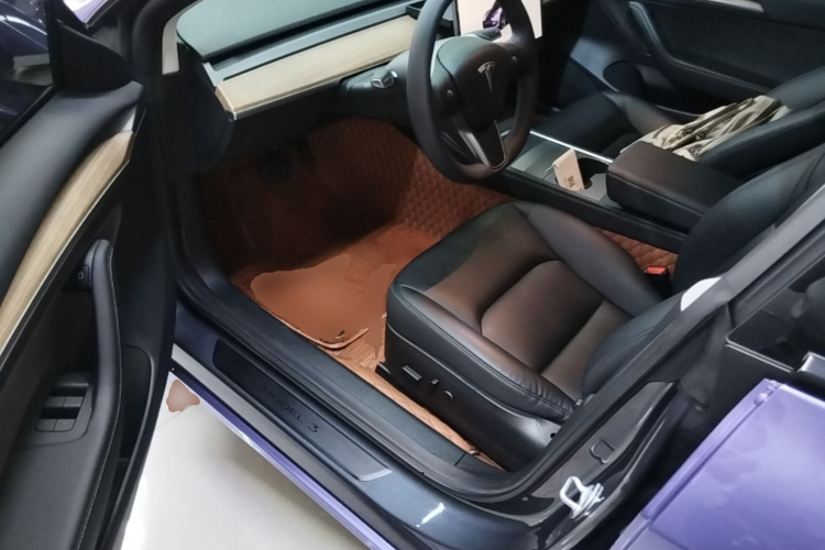 Tesla Model 3 2022 imagem de carro #16