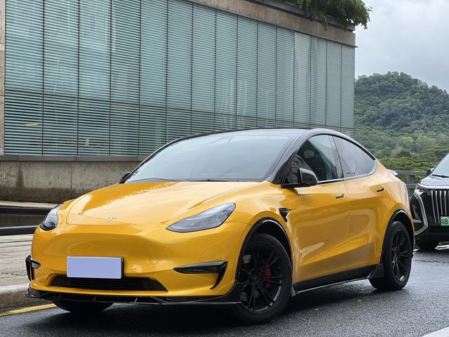 Tesla Model Y 2021 #25 Tesla Model Y 2021 car image #25