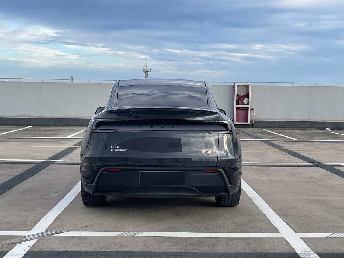 Tesla Model Y 2025 #5 Tesla Model Y 2025 car image #5