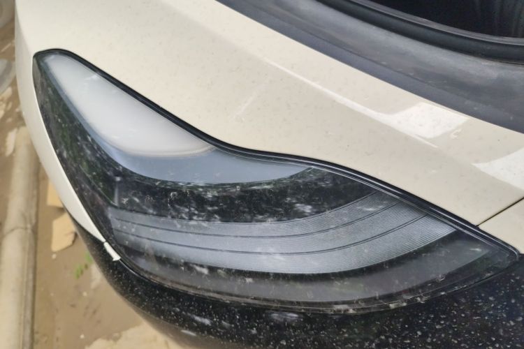 Tesla Model Y 2023 #8 Tesla Model Y 2023 car image #8