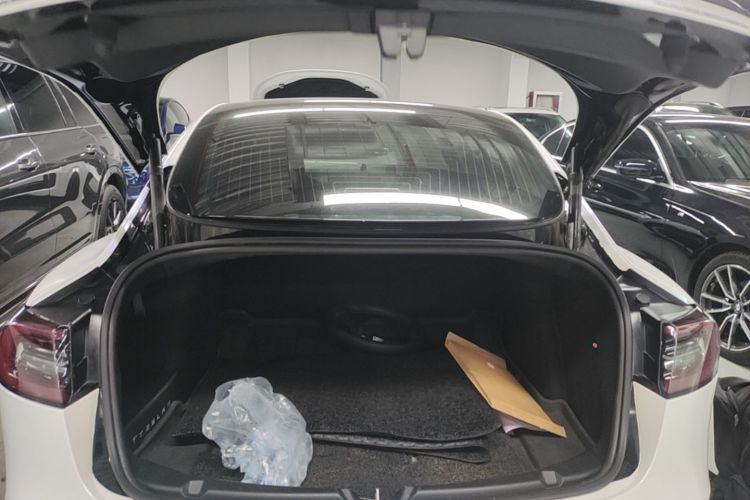 Tesla Model 3 2020 car image #19