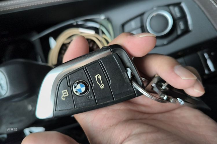 BMW X1 2019 car image #10